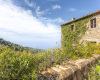 Deia, Mallorca, 7 Bedrooms Bedrooms, ,7 BathroomsBathrooms,Finca,Vacation Rental,1151